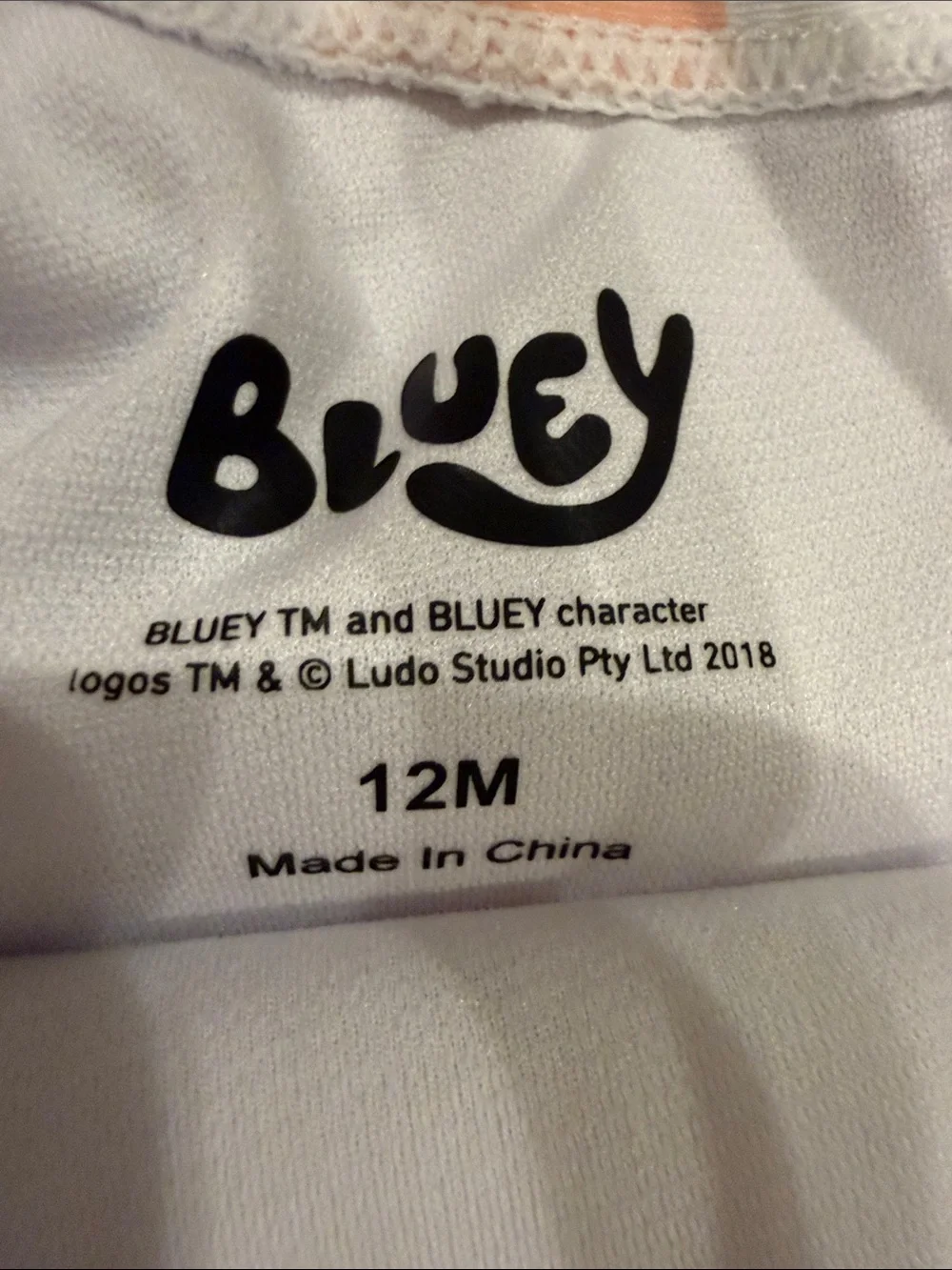 NWOT Bluey One-Piece Swimsuit